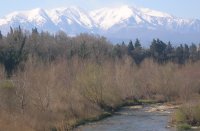 Canigou in snow Canigou in snow