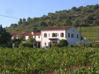 Hotel in the vineyards near Perpignan