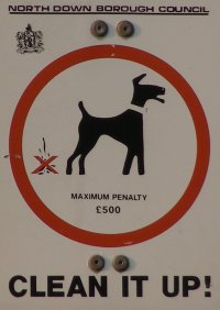 No dog poo