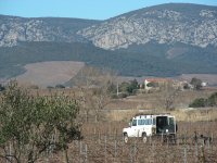 White van in the vineyards